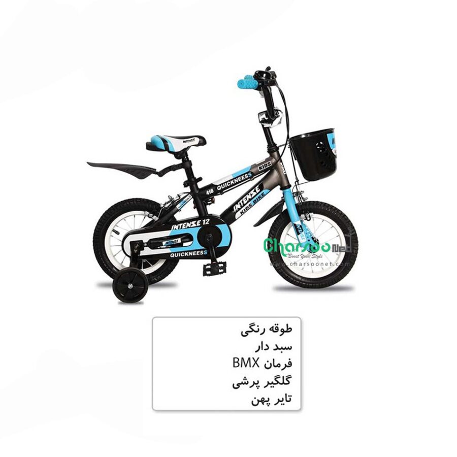 دوچرخه بچگانه دخترانه اینتنس Intense کد BYC-00105 سایز 12 مدل 2016