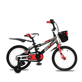 دوچرخه اسپرت اینتنس Intense کد BYC-00217 سایز 16 مدل 2016