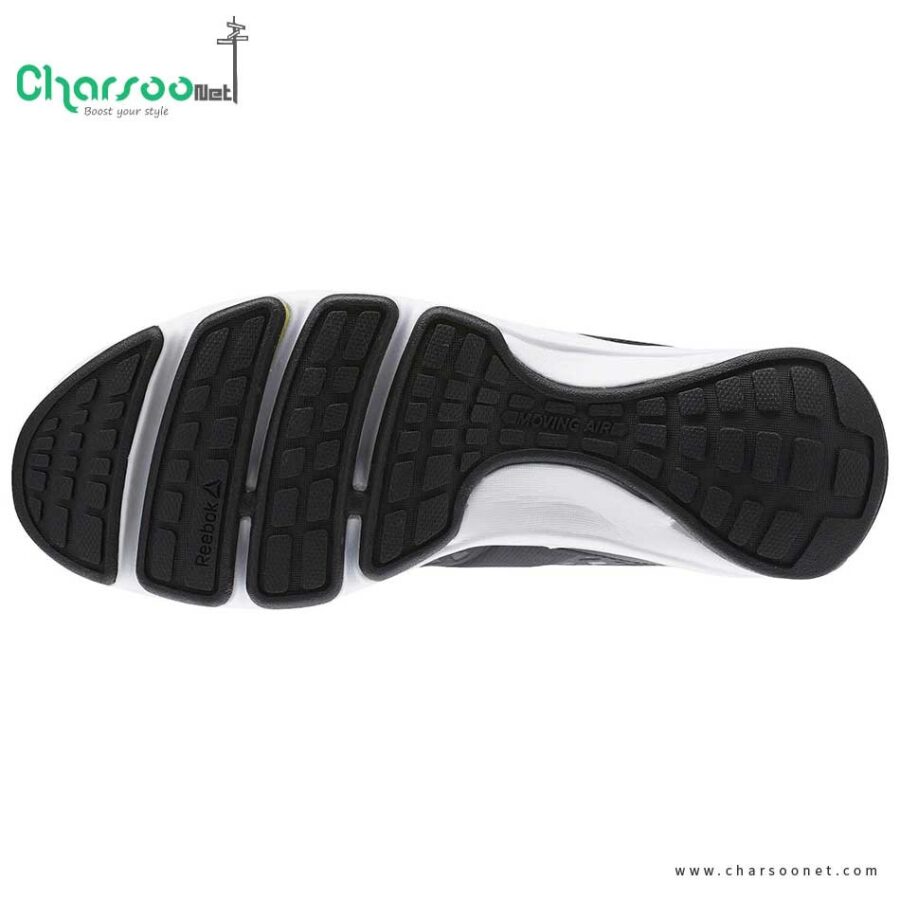 کتانی مردانه ریبوک Reebok CloudRide DMX 2017