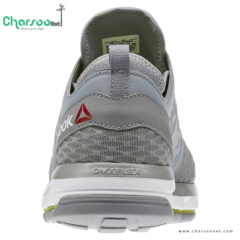 کفش راهپیمایی مردانه ریبوک Reebok CloudRide DMX 2017 کفش راهپیمایی مردانه ریبوک Reebok CloudRide DMX 2017