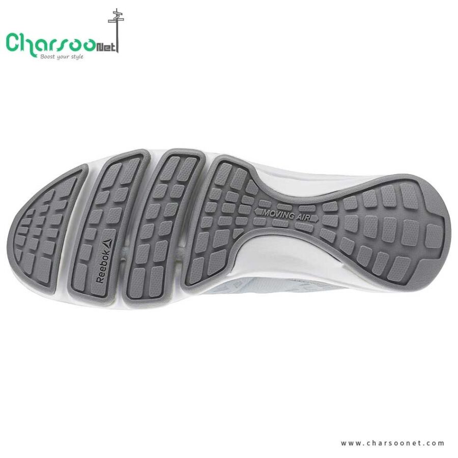 کفش راهپیمایی مردانه ریبوک Reebok CloudRide DMX 2017