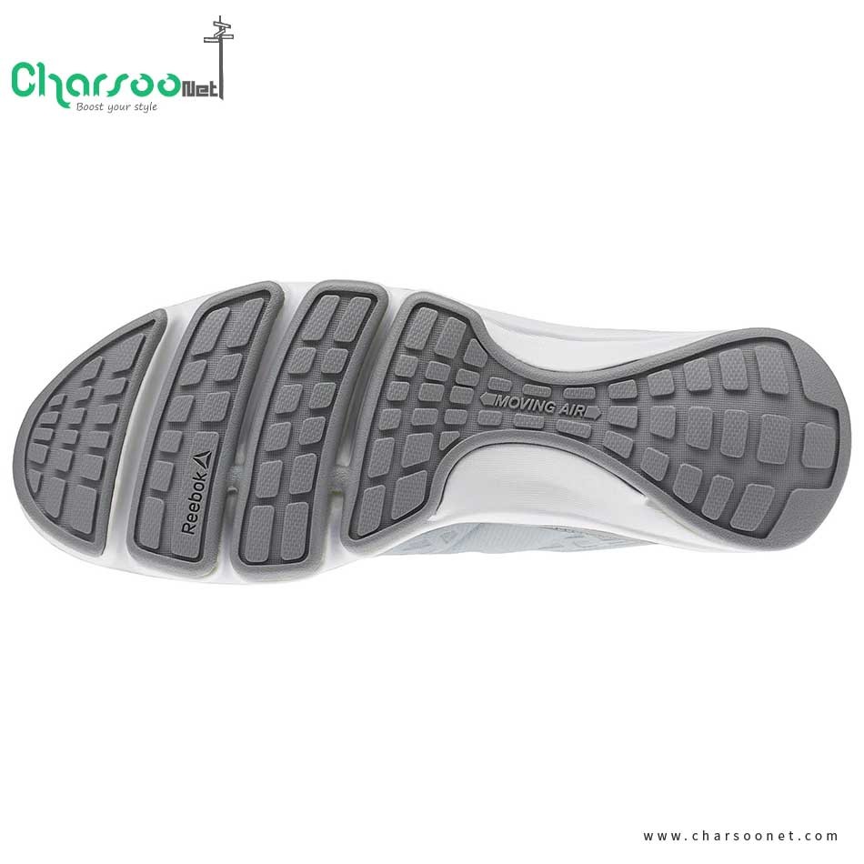 کفش راهپیمایی مردانه ریبوک Reebok CloudRide DMX 2017 کفش راهپیمایی مردانه ریبوک Reebok CloudRide DMX 2017