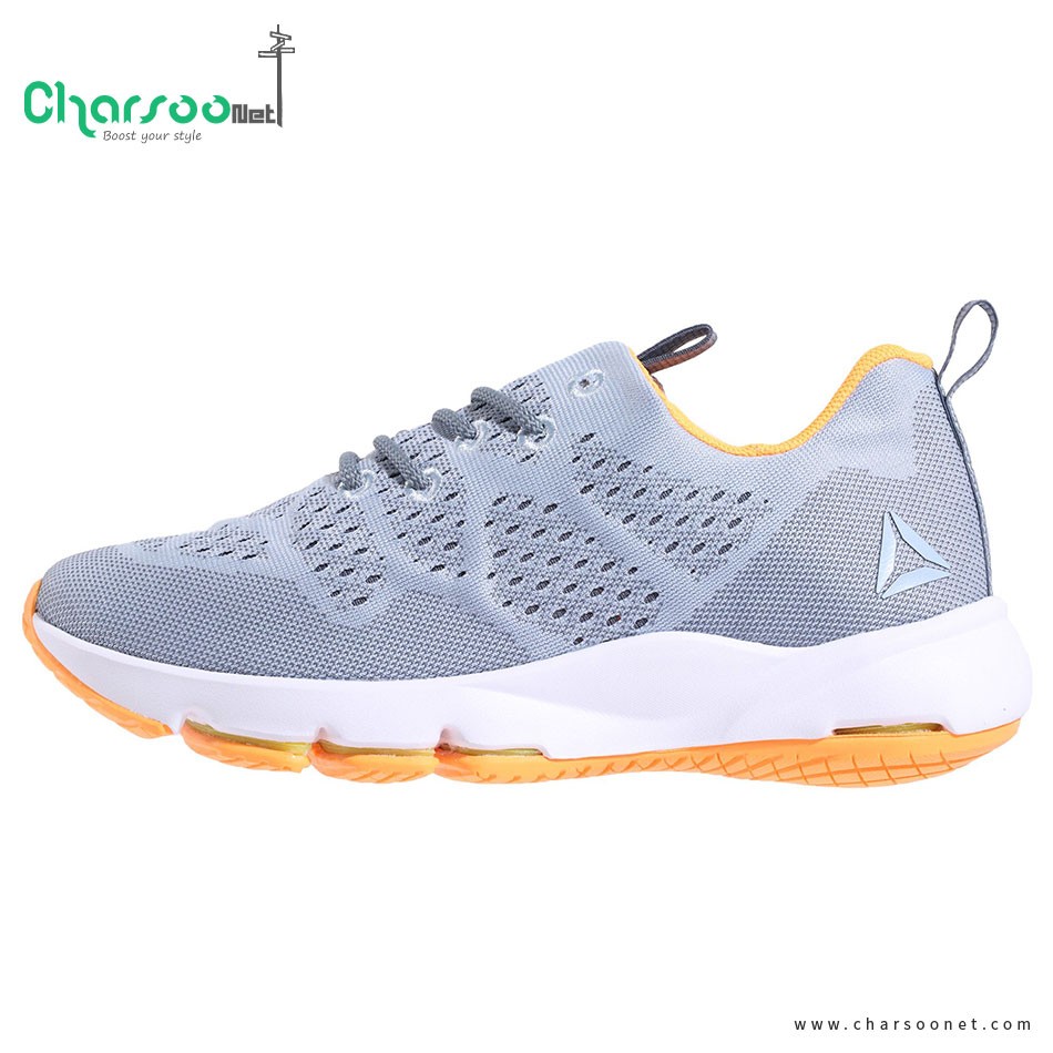 کفش رانینگ زنانه ریبوک Reebok CloudRide LS DMX کفش رانینگ زنانه ریبوک Reebok CloudRide LS DMX