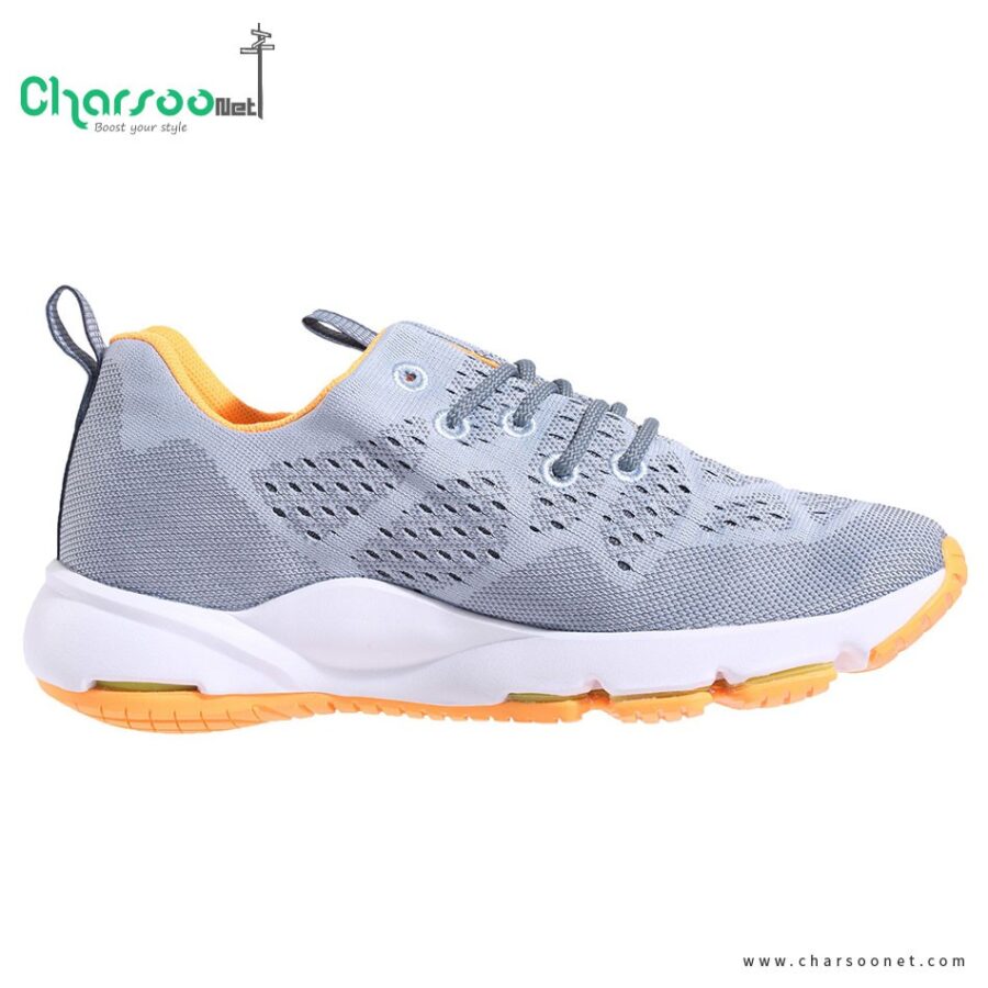 کفش رانینگ زنانه ریبوک Reebok CloudRide LS DMX