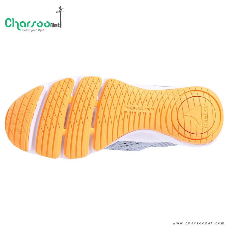 کفش رانینگ زنانه ریبوک Reebok CloudRide LS DMX