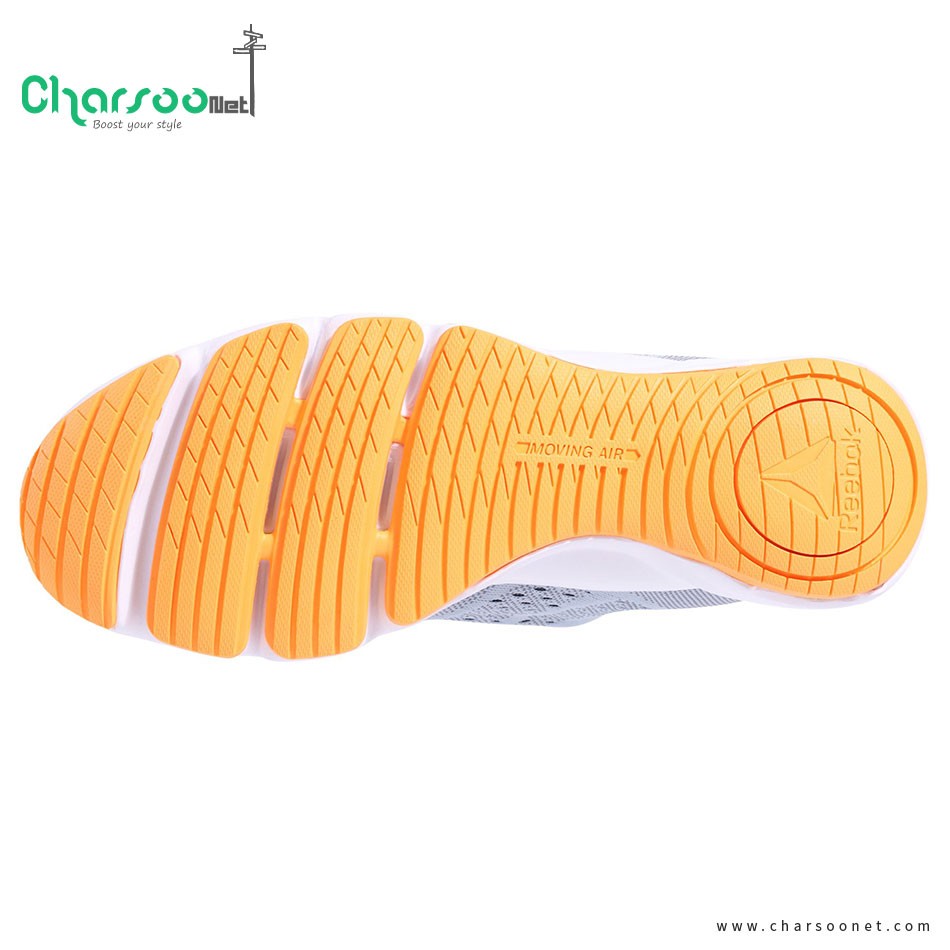 کفش رانینگ زنانه ریبوک Reebok CloudRide LS DMX کفش رانینگ زنانه ریبوک Reebok CloudRide LS DMX