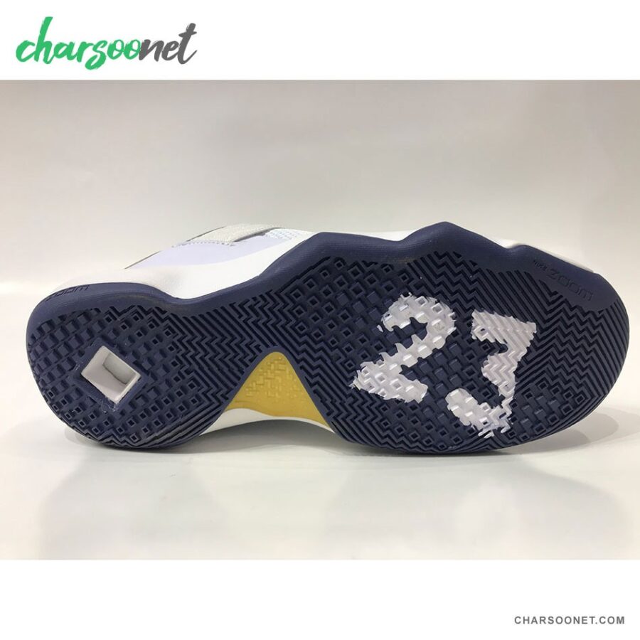 کفش بسکتبال نایک لبرون Nike Ambassador X LBJ