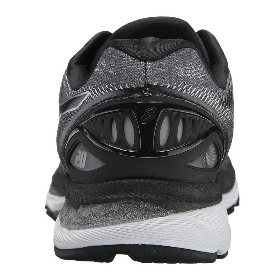 کفش رانینگ مردانه اسیکس Asics DynaFlyte 2