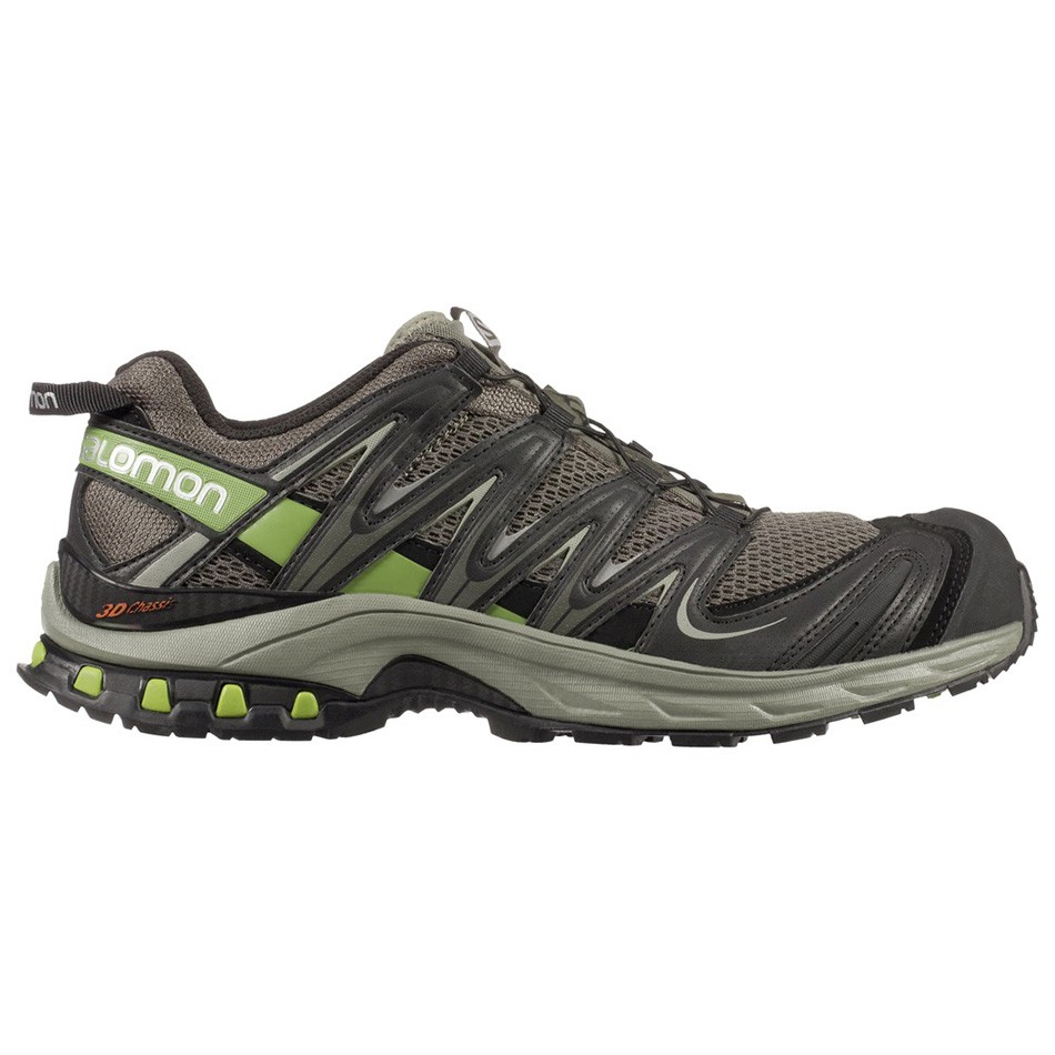 کفش کوهنوردی و طبیعتگردی سالومون Salomon Xa Pro 3D کتانی رانینگ زنانه بروکس Brooks Ricoochet