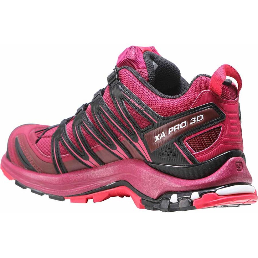 کفش پیاده روی و کوهپیمایی زنانه سالومون Salomon XA Pro 3D GTX