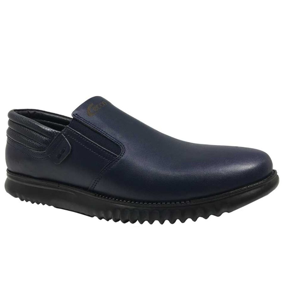 کفش طبی مردانه ecco