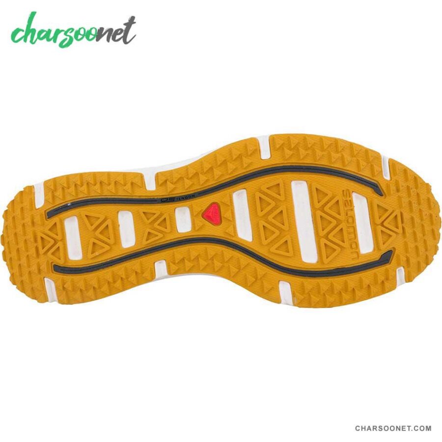 کفش شهری مردانه سالومون Salomon Kalalau LTR