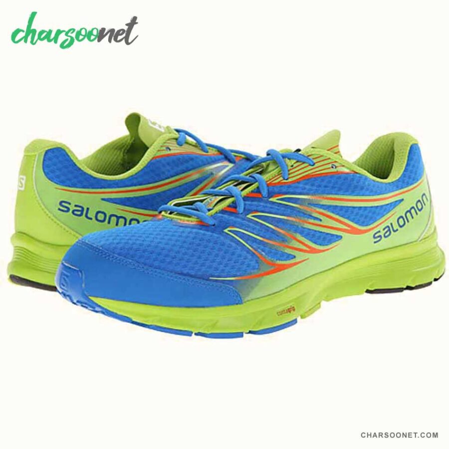 کفش ورزشی مردانه Salomon Sense link