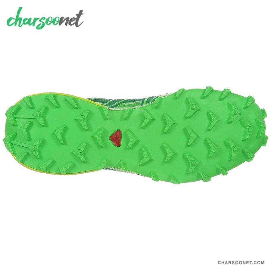 کفش ورزشی زنانه سالومون Speedcross 3 GTX