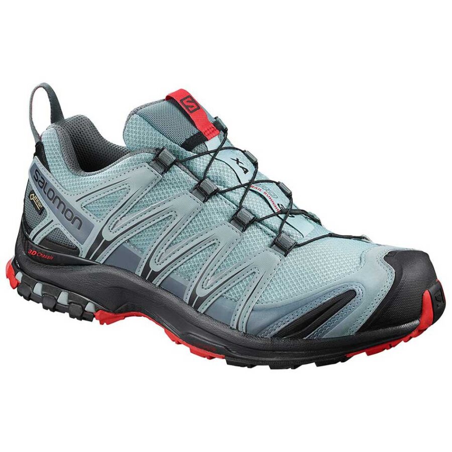 کفش مردانه سالومون Salomon Xa Pro 3D GTX