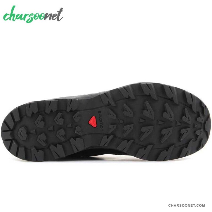 کفش مردانه سالومون Salomon X Radiant GTX