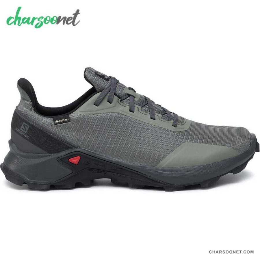کفش تریال راننیگ مردانه سالومون Salomon Alphacross GTX
