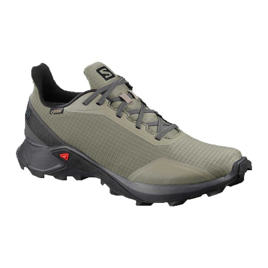 کفش تریال راننیگ مردانه سالومون Salomon Alphacross GTX