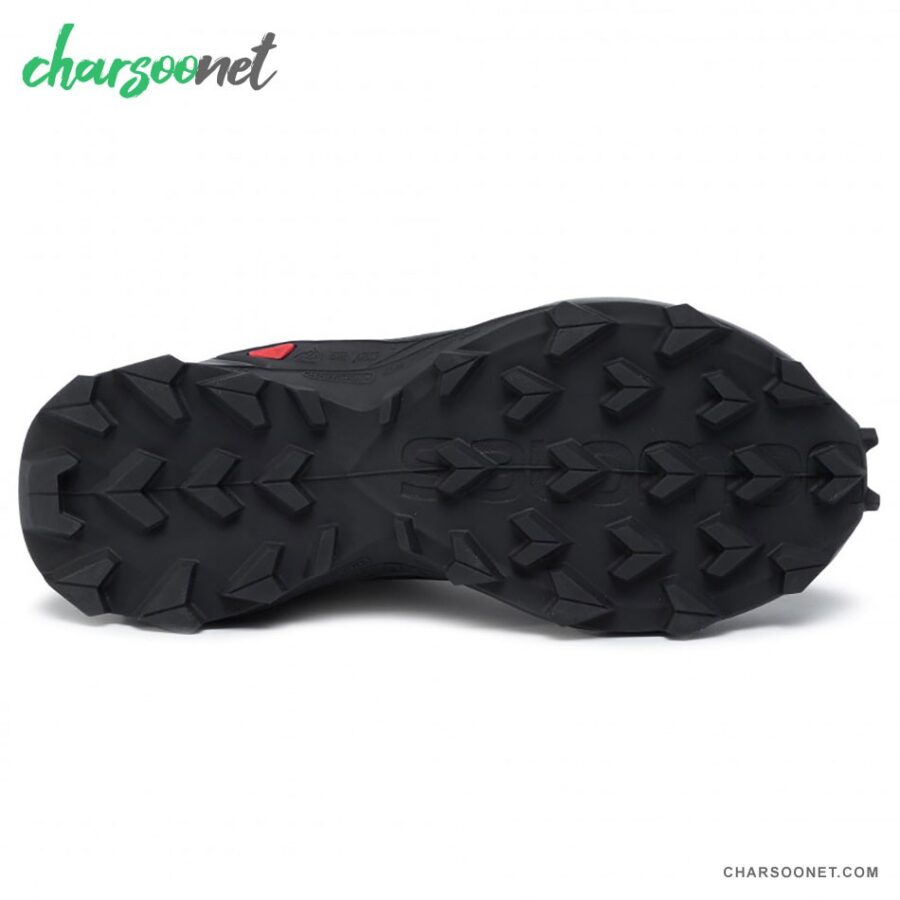 کفش پیاده روی زنانه سالومون SALOMON Alphacross GTX