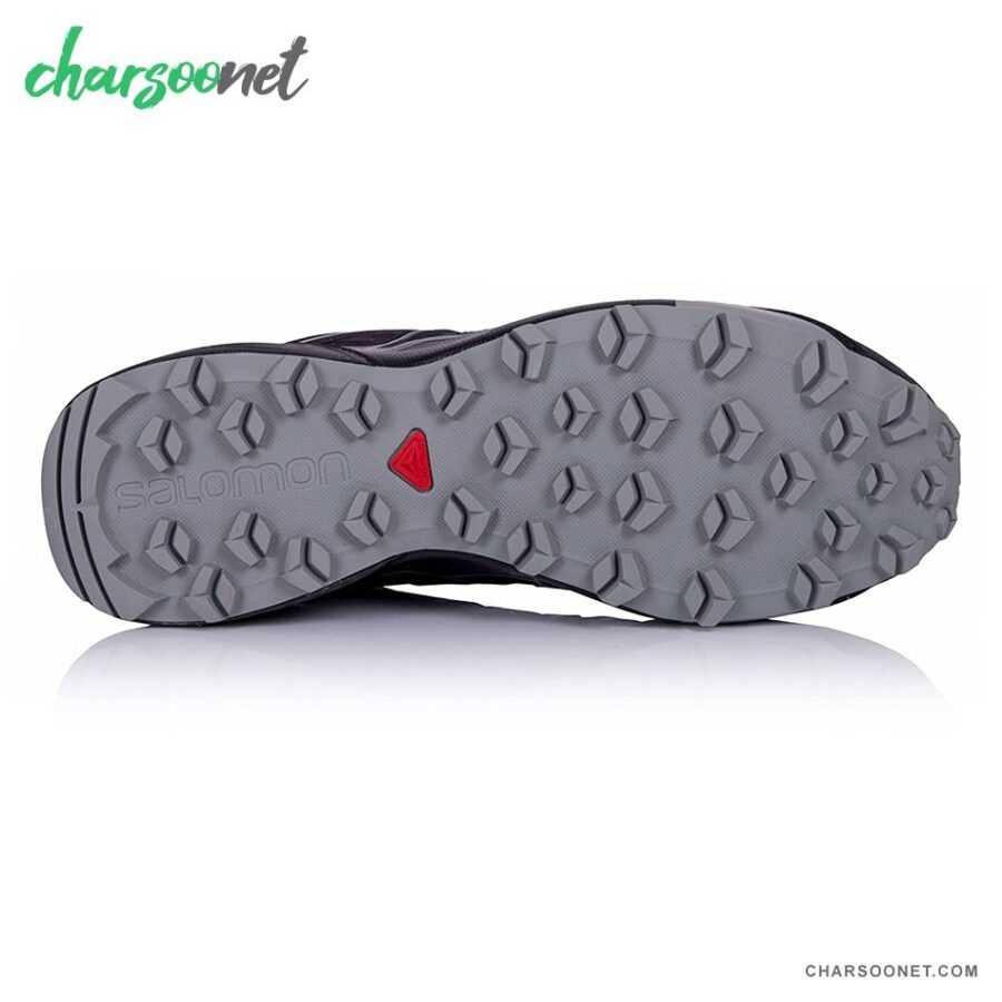 کتانی رانینگ مردانه سالومون Salomon Speedcross Vario 2 GTX