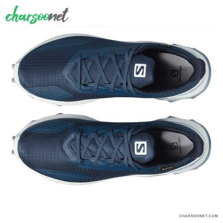 کفش کوهنوردی سالومون ضدآب Salomon Alphacross Blast GTX کد 411060