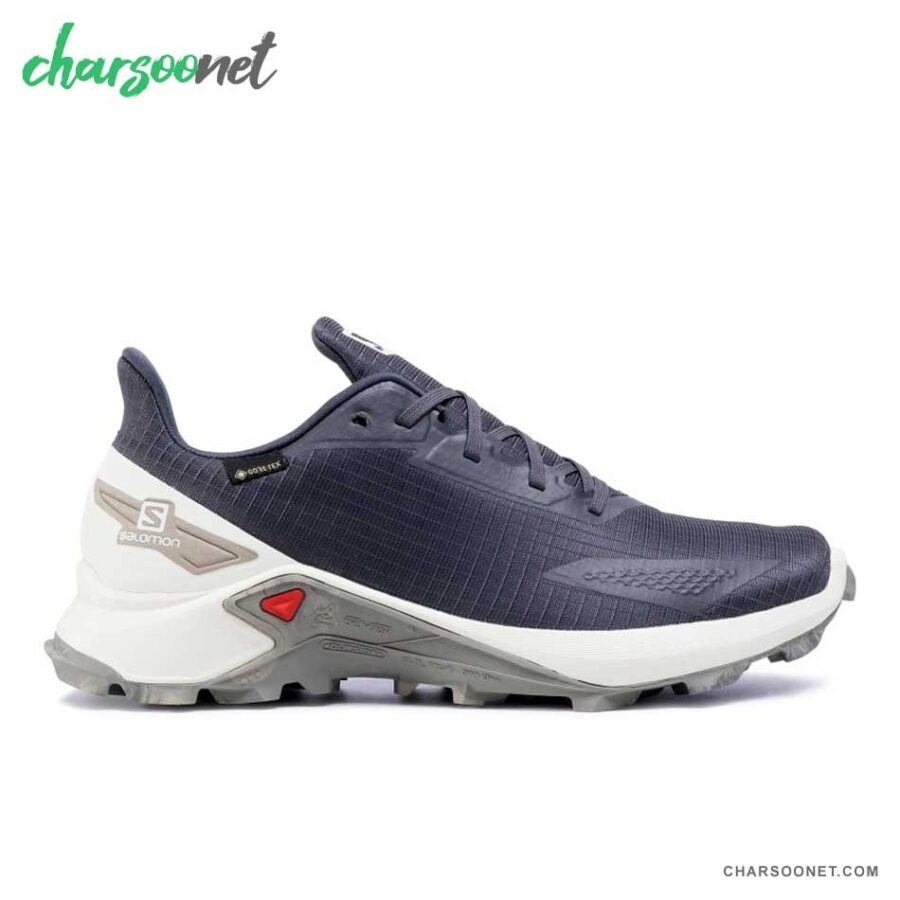 کفش کوهنوردی سالومون ضدآب مردانه Salomon Alphacross Blast GTX