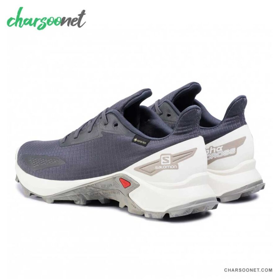 کفش کوهنوردی سالومون ضدآب مردانه Salomon Alphacross Blast GTX
