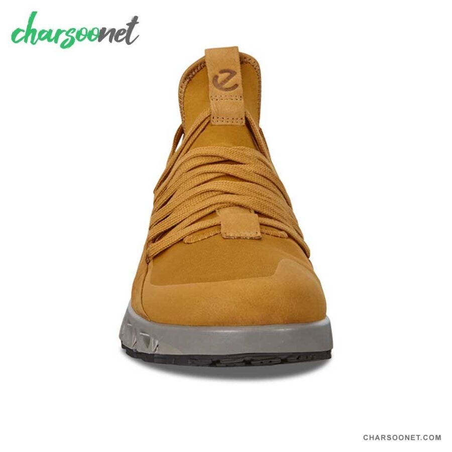 کفش پیاده روی و دویدن اکو مردانه Ecco Multi vent 880104-51750