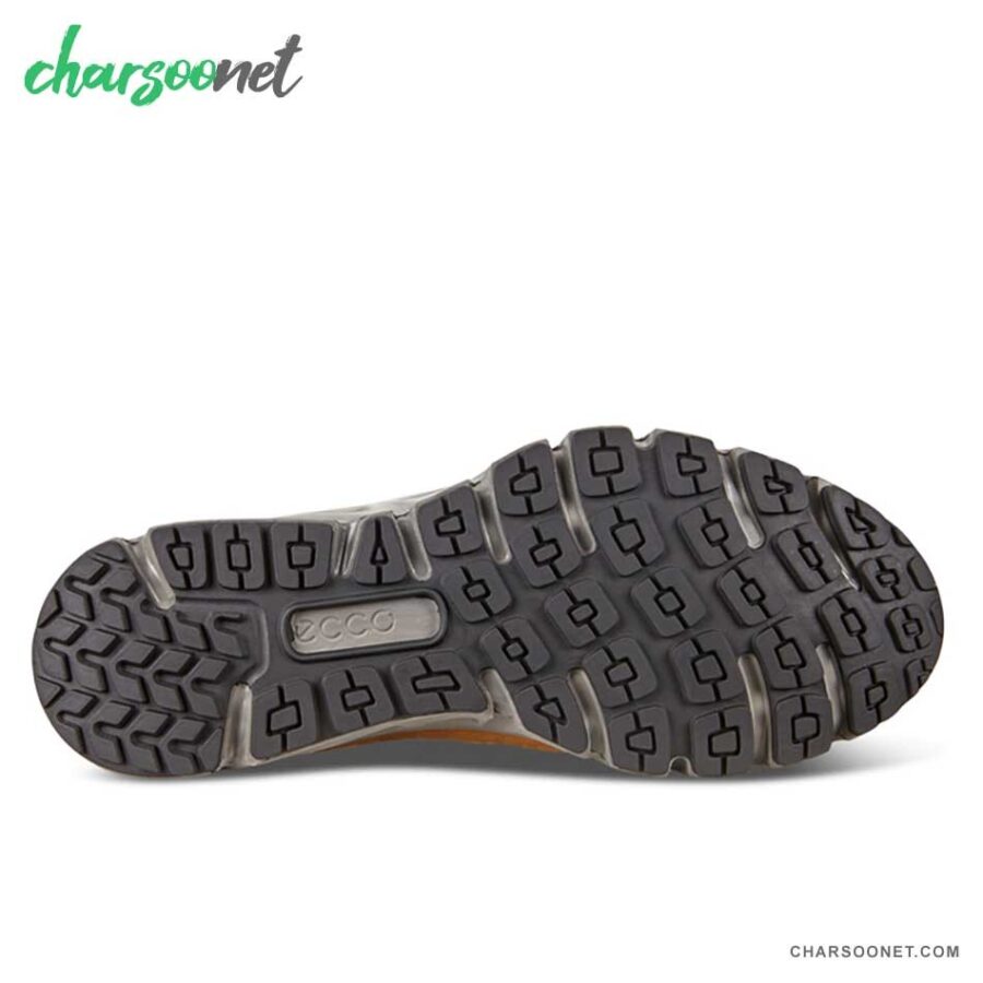 کفش پیاده روی و دویدن اکو مردانه Ecco Multi vent 880104-51750