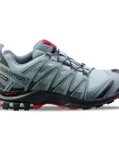 کفش ورزشی مردانه سالومون Salomon Xa Pro 3D GTX
