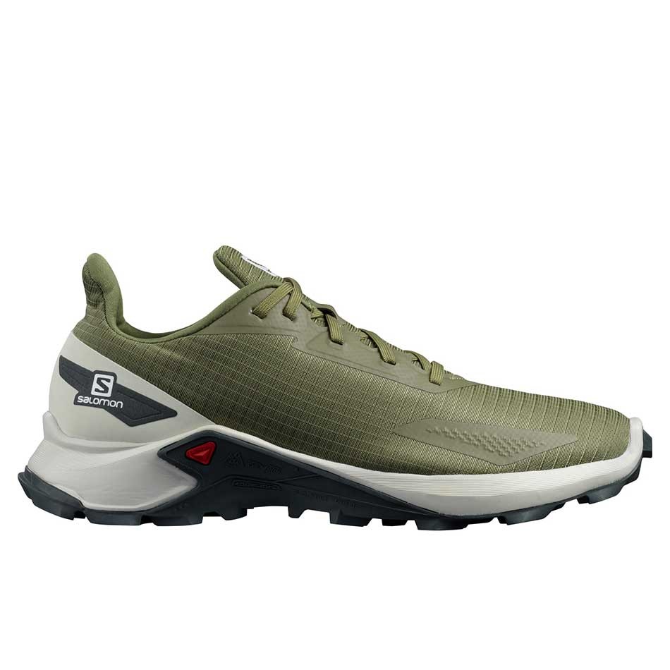 کفش کوهنوردی سالومون Salomon Alphacross Blast
