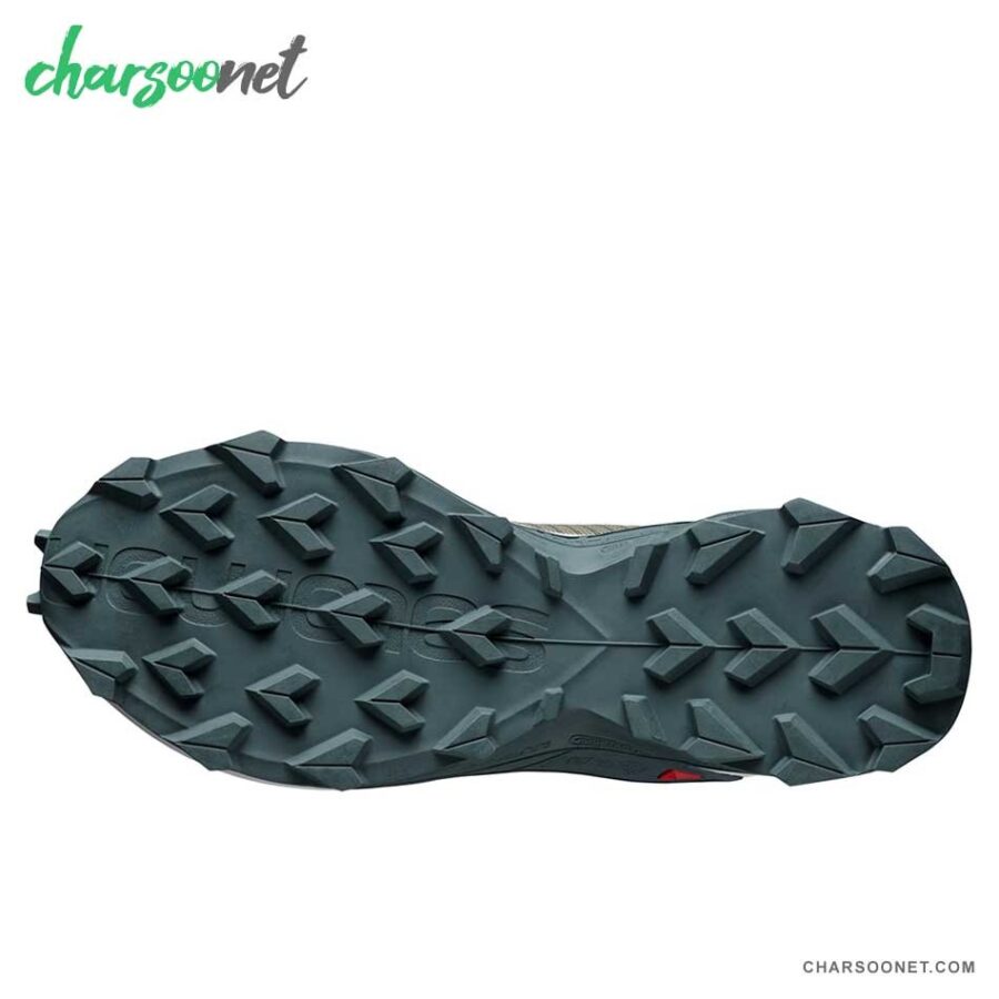 کفش کوهنوردی سالومون Salomon Alphacross Blast