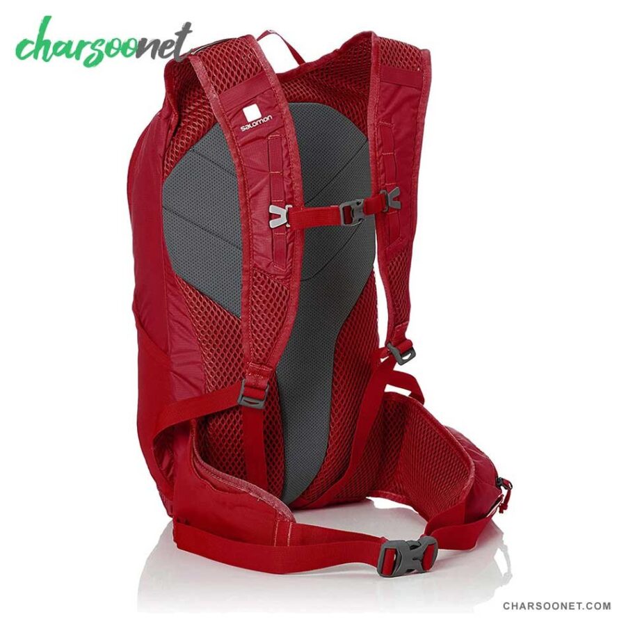 کوله پشتی 20 لیتری کوهنوردی سالومون Salomon Back Pack