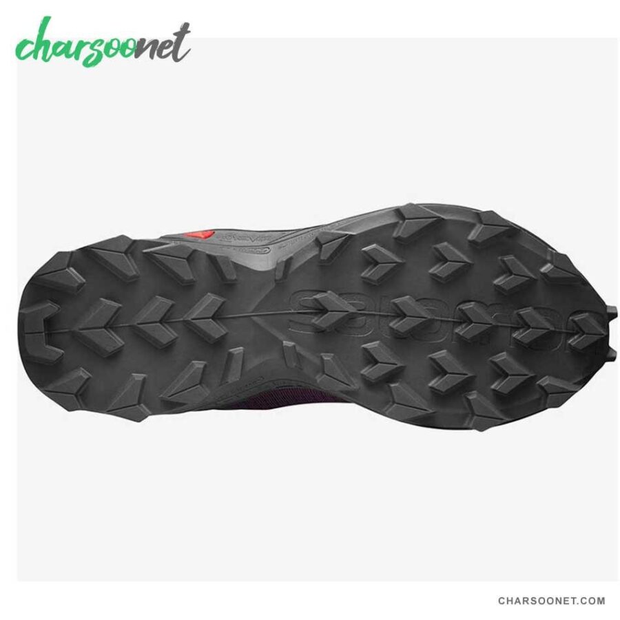 کتانی رانینگ سالومون مدل Salomon Alphacross کد 408048