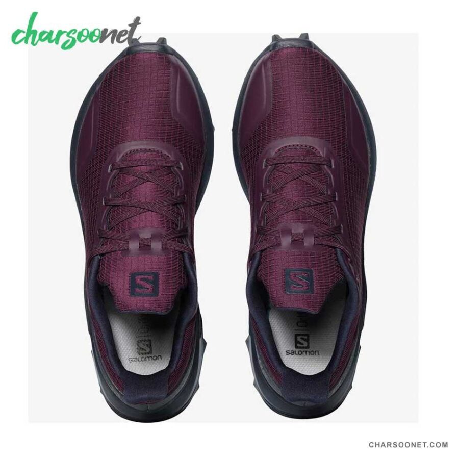 کتانی رانینگ سالومون مدل Salomon Alphacross کد 408048