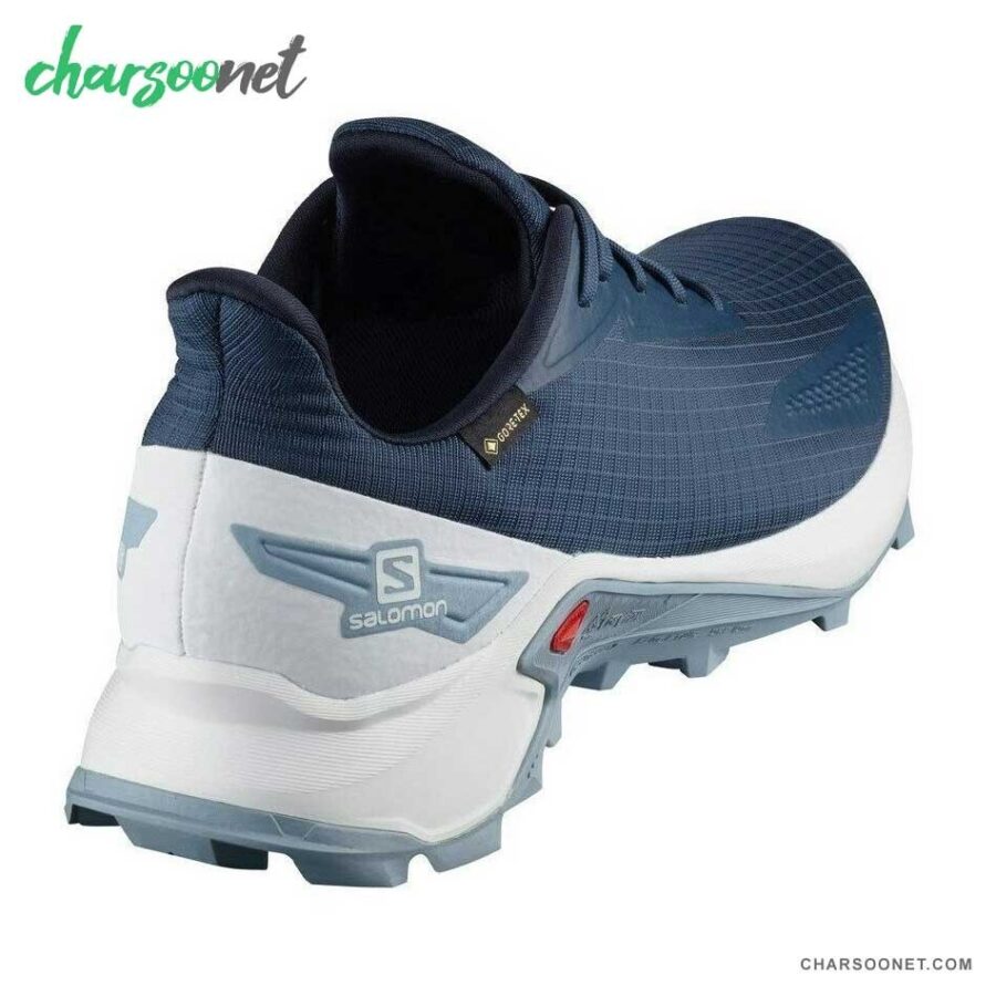 کفش تریال رانینگ سالومون مدل Salomon Alphacross Blast Gore-Tex کد 411060