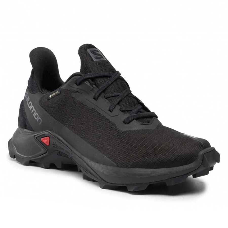 کفش زنانه سالومون مدل Salomon Alphacross 3 GTX کد 414474