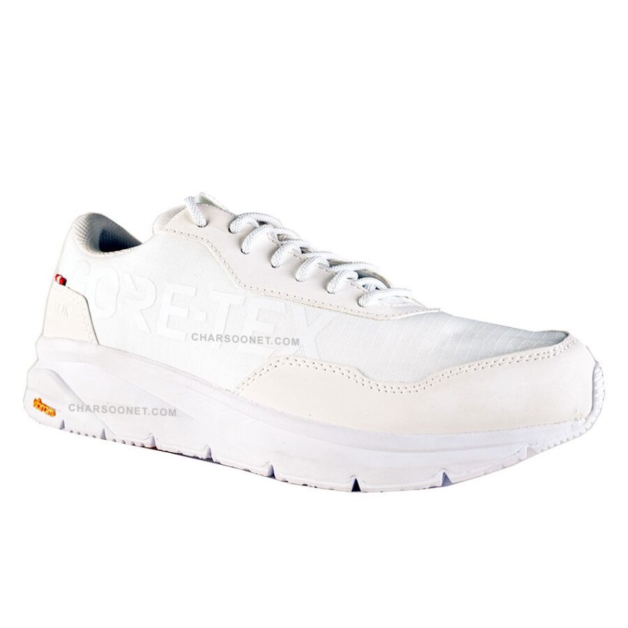 کتانی ضدآب مردانه داخشتاین Dachstein Urban Active GTX