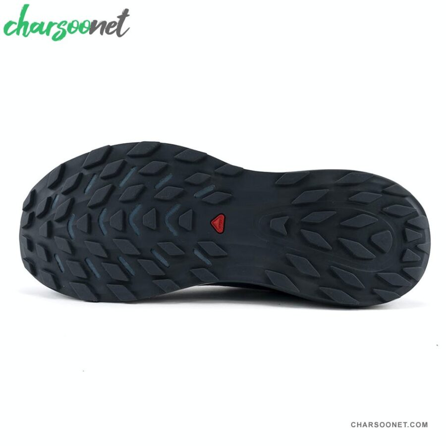 کفش پیاده روی و دویدن سالومون زنانه Salomon Ultra Glide
