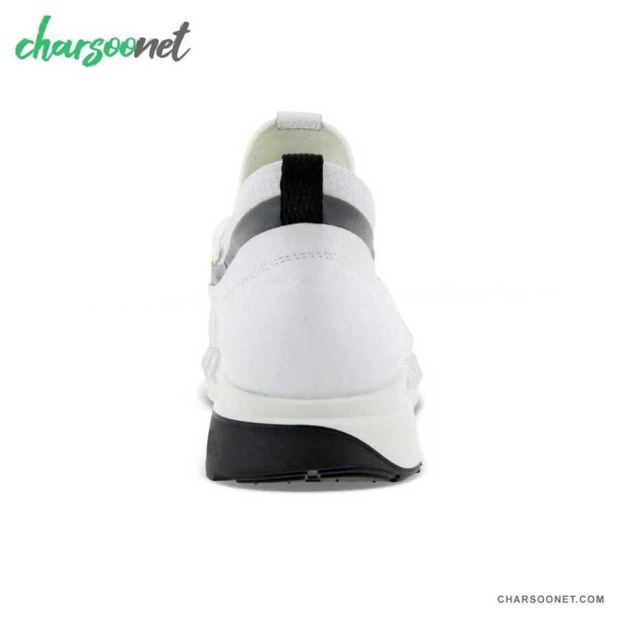 کفش پیاده روی و دویدن اکو مردانه Ecco Zipflex