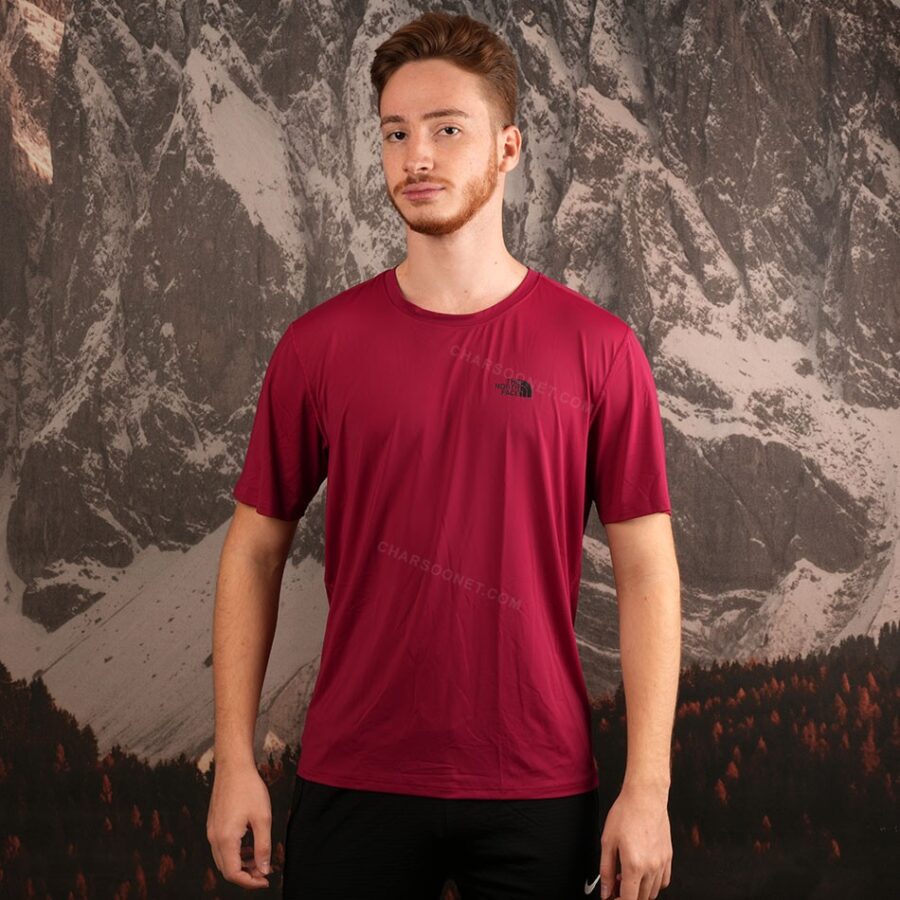 تیشرت مردانه نورث فیس The North Face