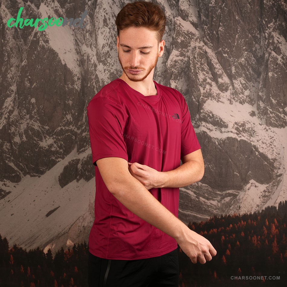 تیشرت مردانه نورث فیس The North Face تیشرت مردانه نورث فیس The North Face