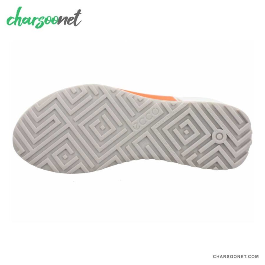 کفش پیاده روی و دویدن اکو مردانه Ecco Biom 2