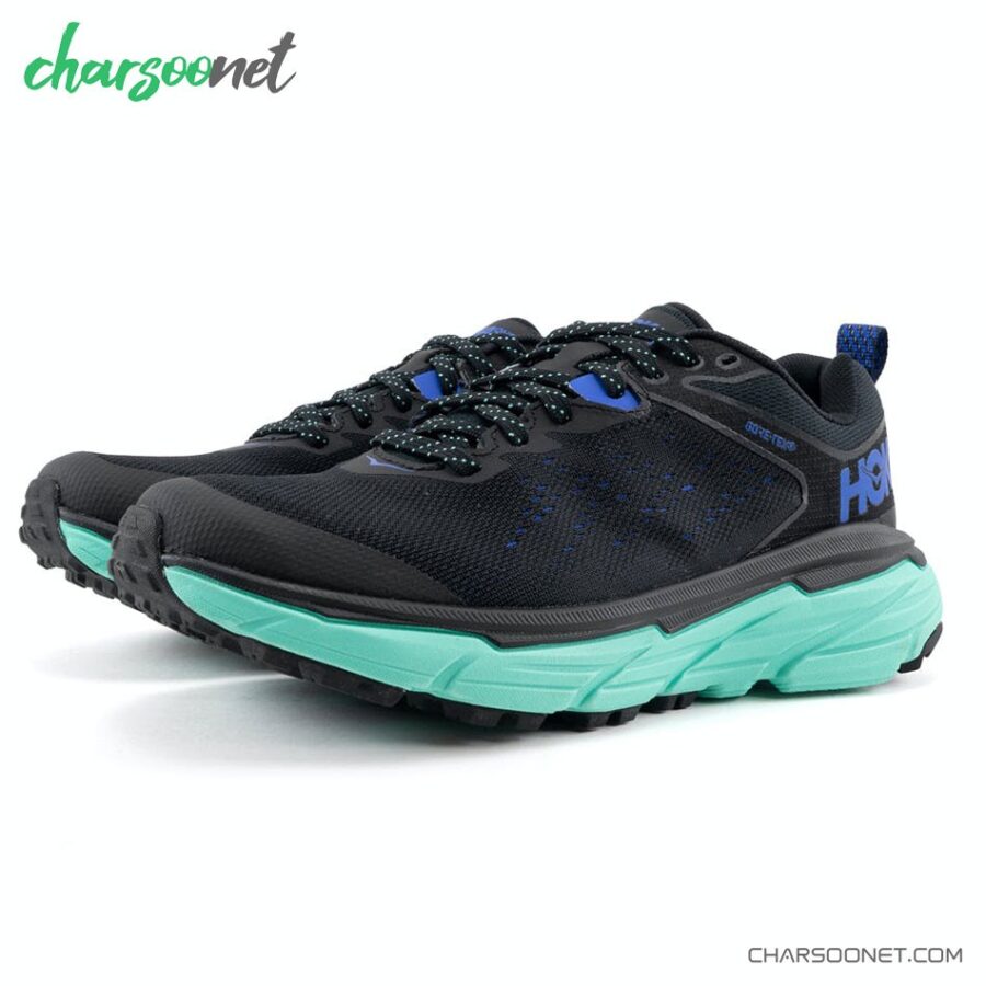 کفش پیاده روی زنانه هوکا مدل HOKA ONE ONE Challenger ATR 6 GTX