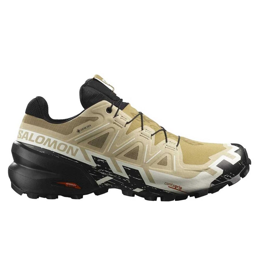 کفش ورزشی ضدآب سالومون مردانه Salomon Speedcross 6 GTX