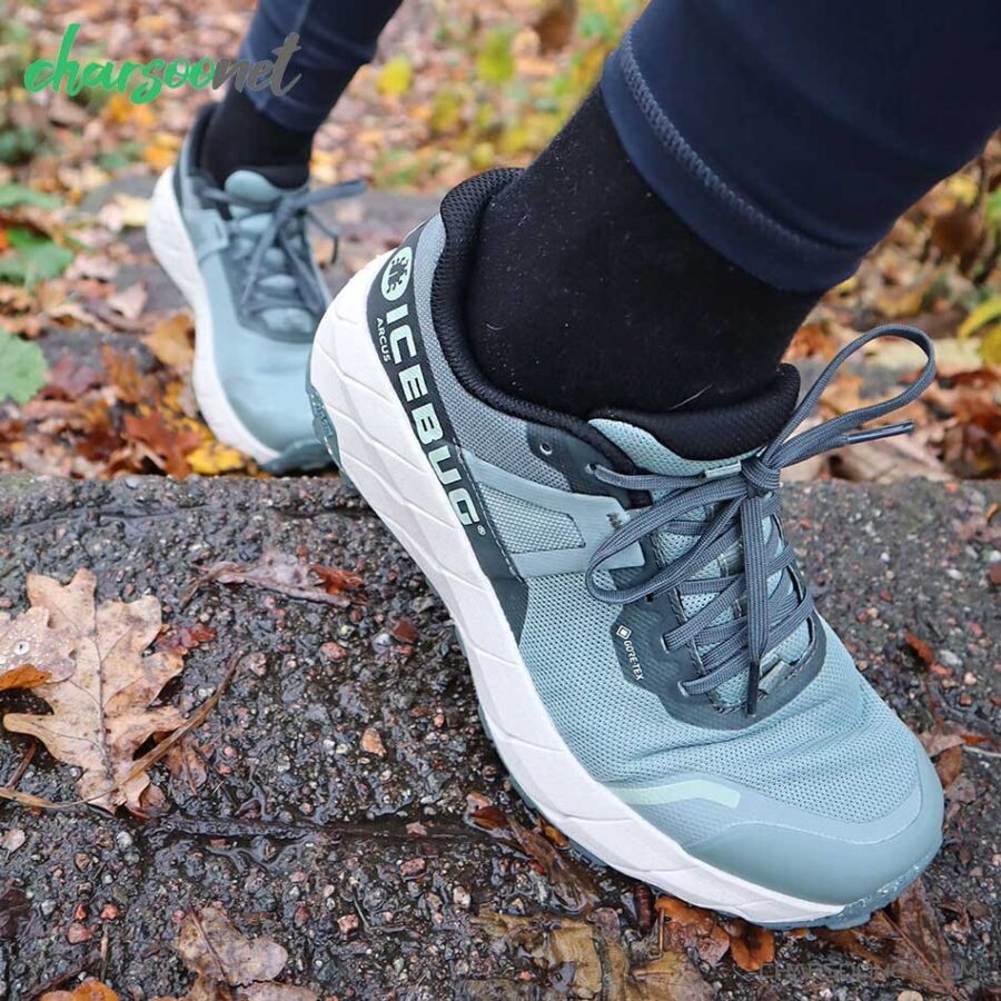 کفش پیاده روی و دویدن آیس باگ مردانه Icebug Arcus RB9X GTX