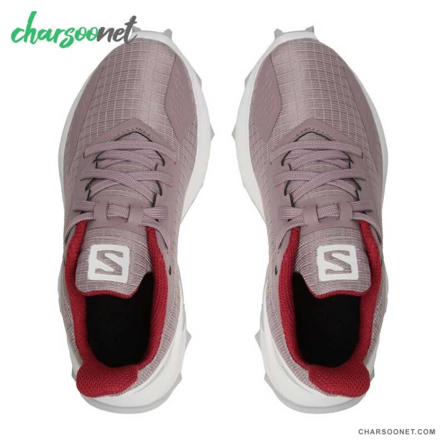 کفش پیاده روی و دویدن سالومون زنانه Alphacross Blast کد 471184