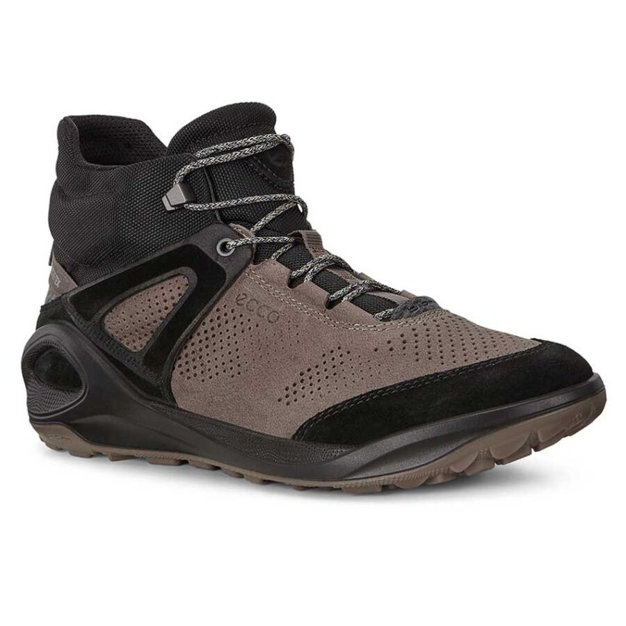 کفش پیاده روی و دویدن مردانه اکو ضدآب Ecco Biom 2go