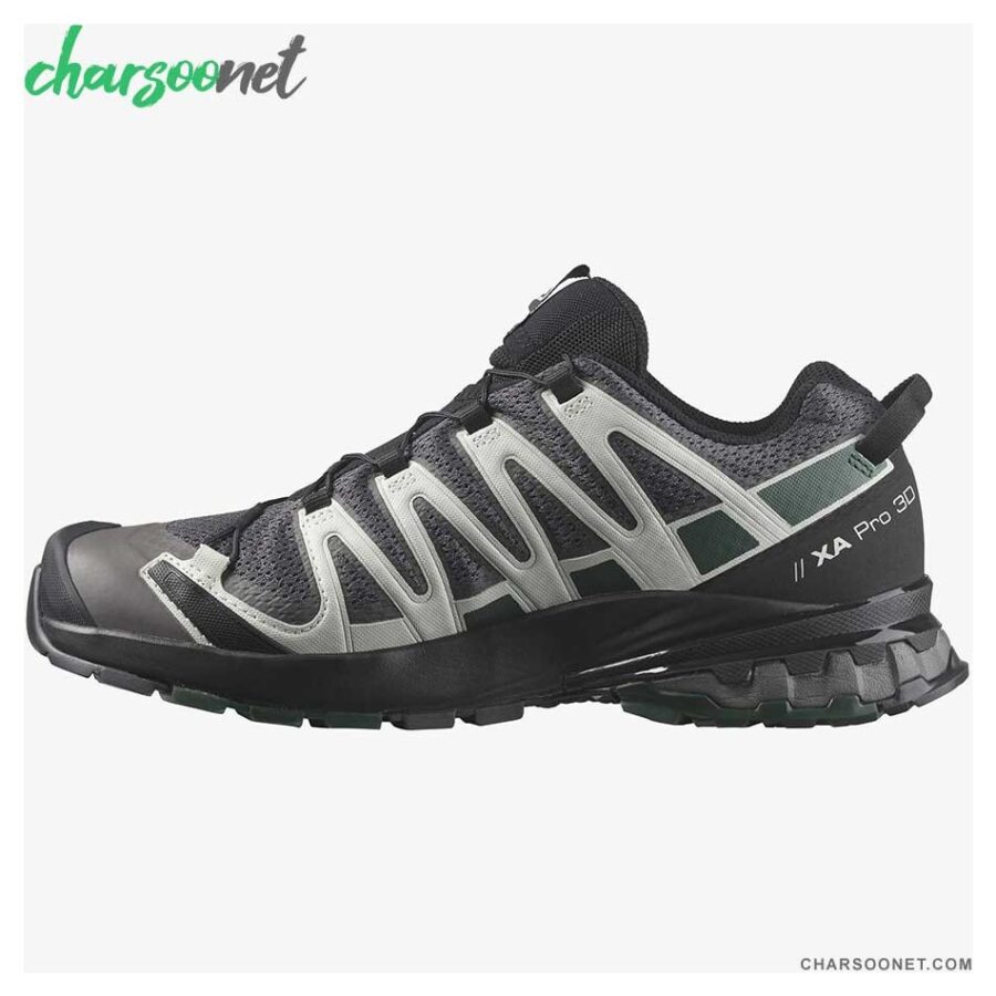 کفش کوهنوردی ضدآب سالومون Salomon XA PRO 3D V8 GTX