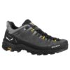 بوت کوهنوردی مردانه سالیوا ضدآب Salewa alewa Alp Trainer GTX